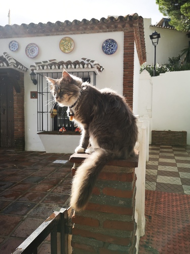 纳米中心-巴超群-睥睨天下-18217389895