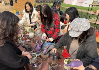 上海软件中心妇委开展282